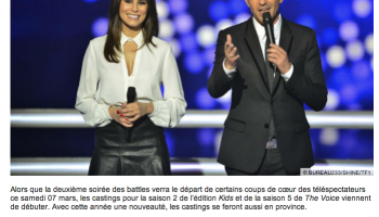 The Voice Casting