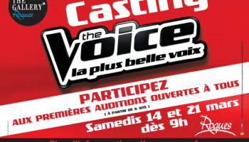 The Voice Casting - Béatrice Tafanel Communication